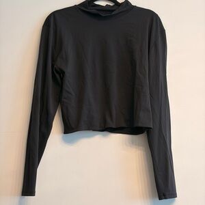 Aritzia Black Cropped Long-Sleeve Top with Mini Turtleneck